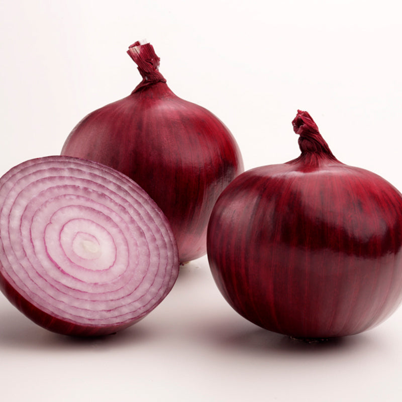 Marenge Red Onion Seeds – High Performance Hybrid