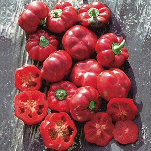 Super Red Pimento Sweet Pepper Seeds – Commercial Grade