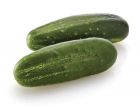 Citadel (Cucumber/pickling)