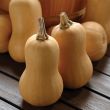 Butterbaby (Hybrid Butternut Squash/untreated)