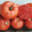 Red Deuce (Hybrid Bush Tomato)