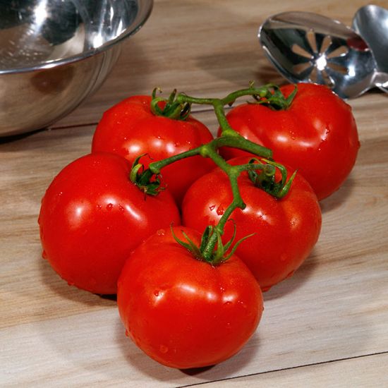Grand (Hybrid Bush Tomato) - Stokes