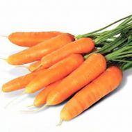 Trallyance (Carrot/nantes/hybrid)