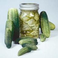 Bush Pickle (Cucumber/pickling)