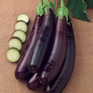 Hansel (Eggplant/hybrid)