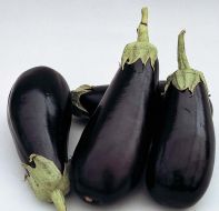 Classic (Eggplant/hybrid)