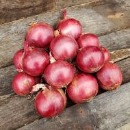 Red Marley (Onion/red/hybrid)
