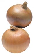 Trailblazer (Onion/pellets)