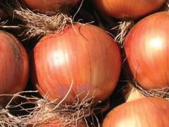 Oloroso (Onion/Spanish/hybrid)