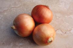 Great Western (Onion/Spanish/hybrid)