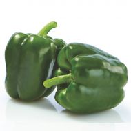Turnpike (Hybrid Sweet Pepper)