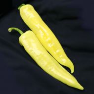 Blazing Banana (Hybrid Hot Pepper/Banana)