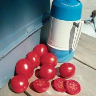 Lunch Box VF (Hybrid Plum Tomato)
