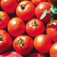 Ultrasonic (Hybrid Staking Tomato)