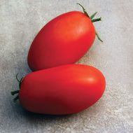 Supremo (Hybrid Plum Tomato)