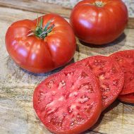 Beefmaster VF (Hybrid Staking Tomato)