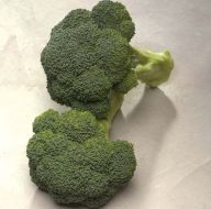 Diplomat (Broccoli)