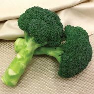 Green Magic (Broccoli)