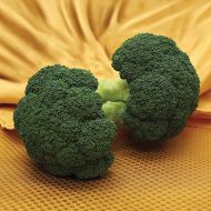 Emerald Jewel  (Broccoli)