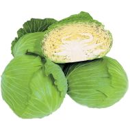 Green Lunar (Cabbage/mid)