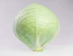 Mucsuma RZ (Cabbage/storage)