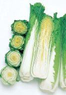 Green Rocket (Cabbage/Michihli Type)