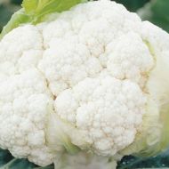 Clarify (Cauliflower/early)