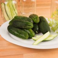 Max Pack (Cucumber/pickling)