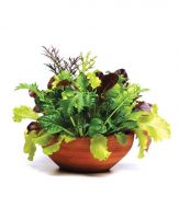 Simply Salad™ Global Gourmet Mix (Lettuce mix/multi-pelleted)