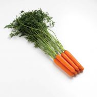Romance (Carrot/nantes/hybrid/pelleted)