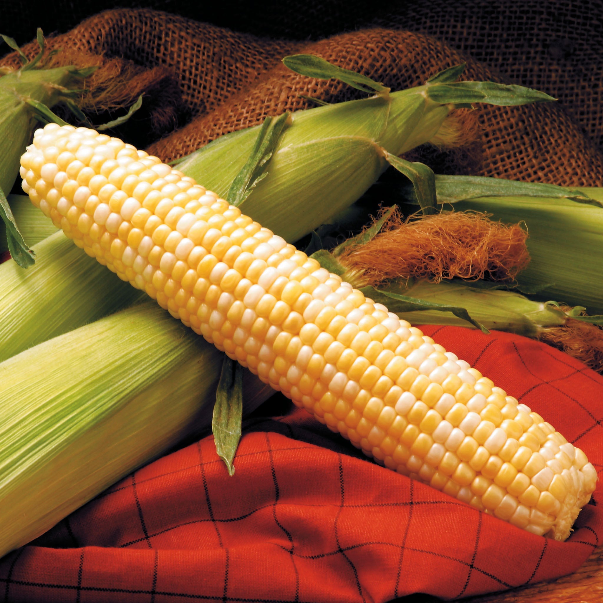 Providence Corn Hybrid Sweet