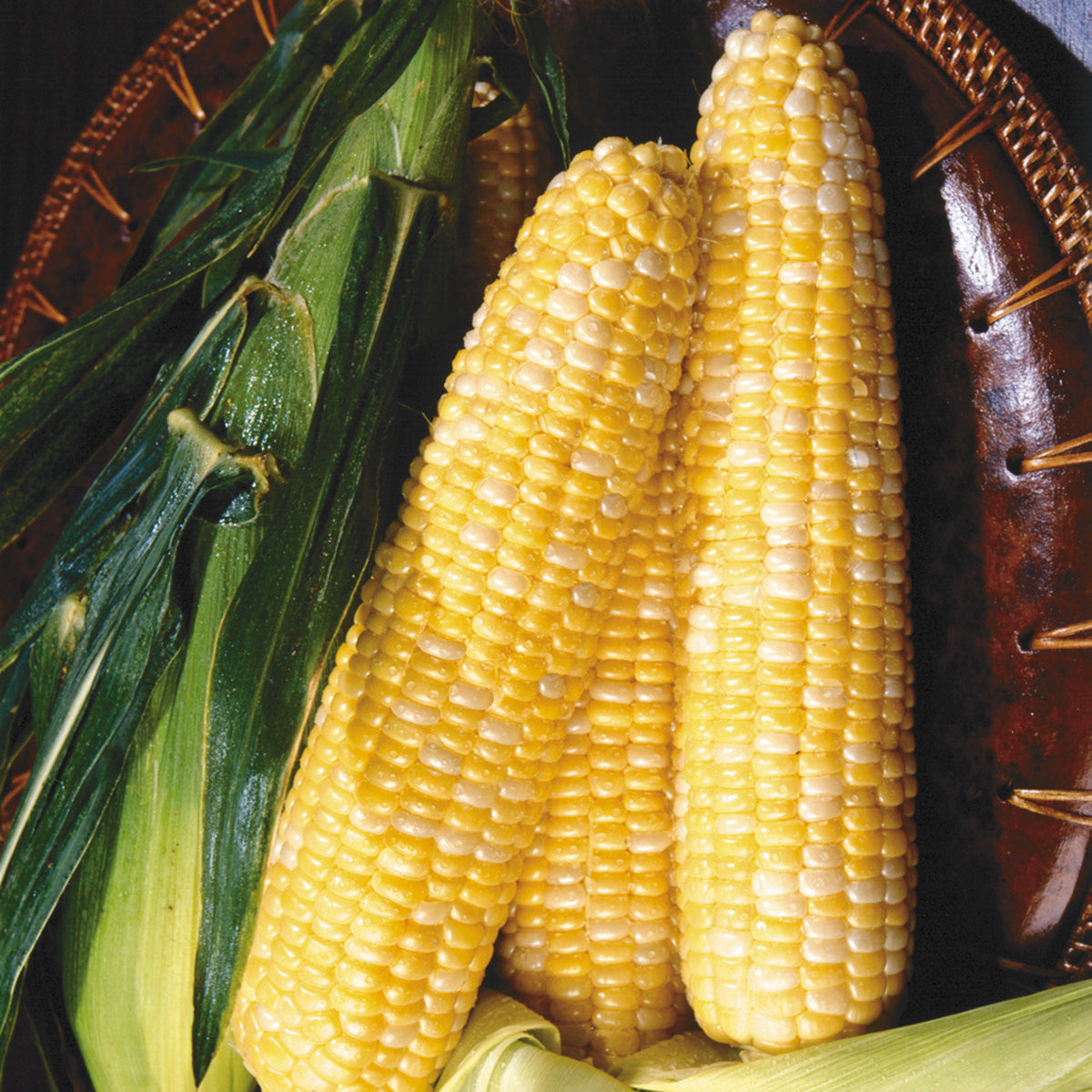 Kristine Corn Hybrid Sweet