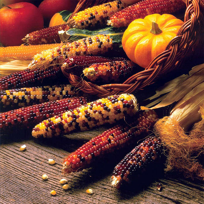 Carousel Corn (popcorn)