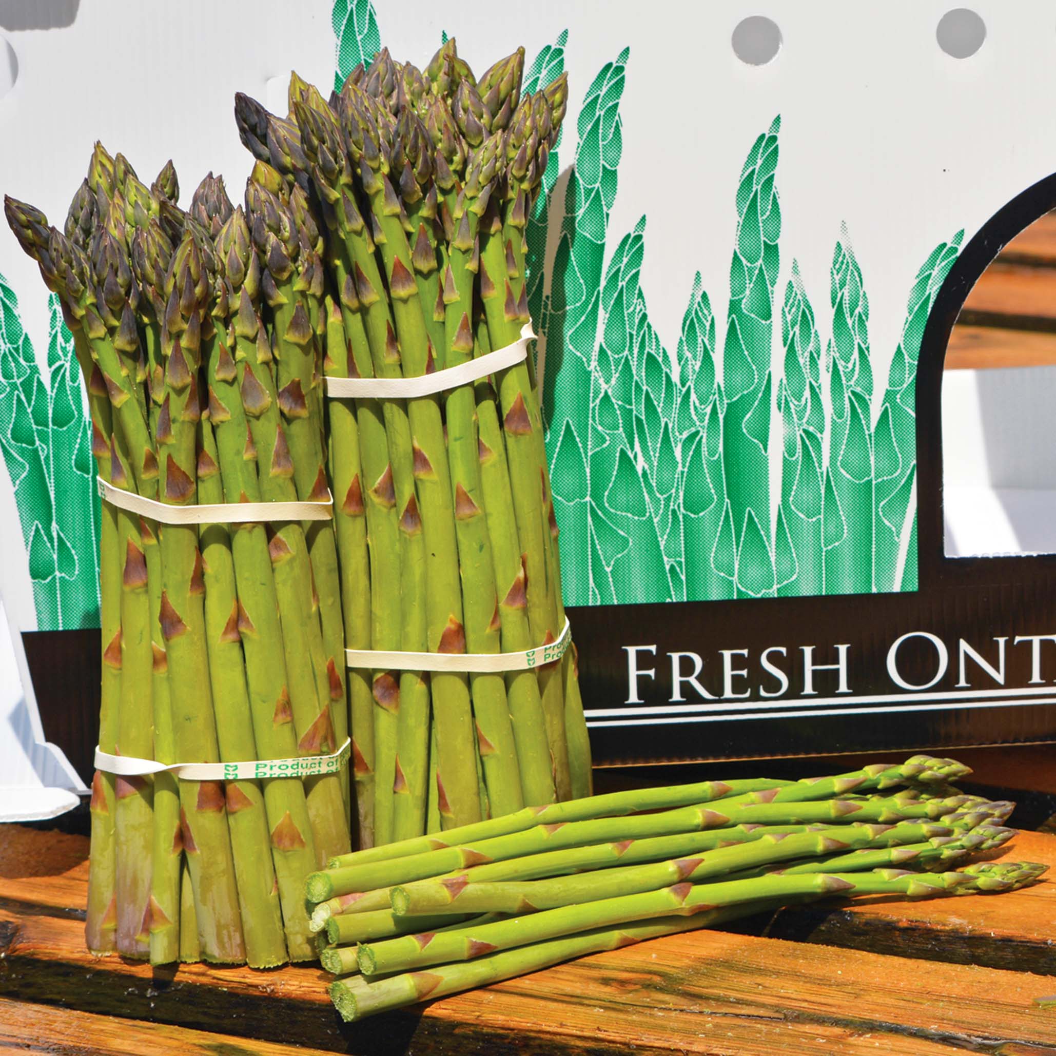 Millennium Asparagus Hybrid