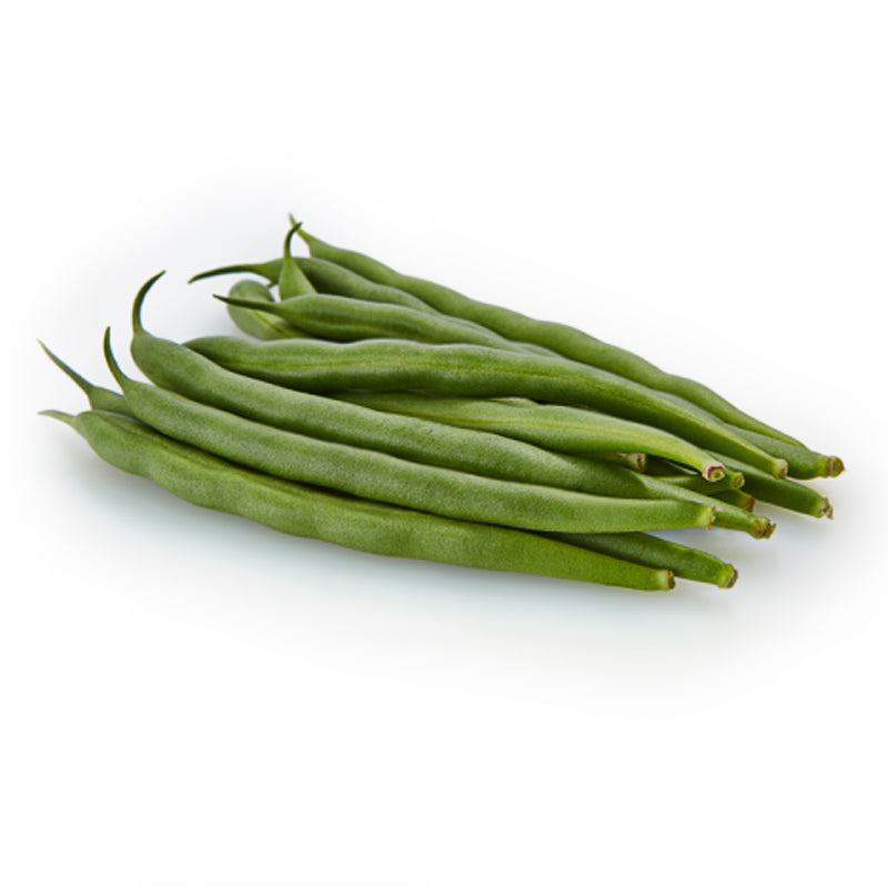 BA0999 (Green Bush) Bean