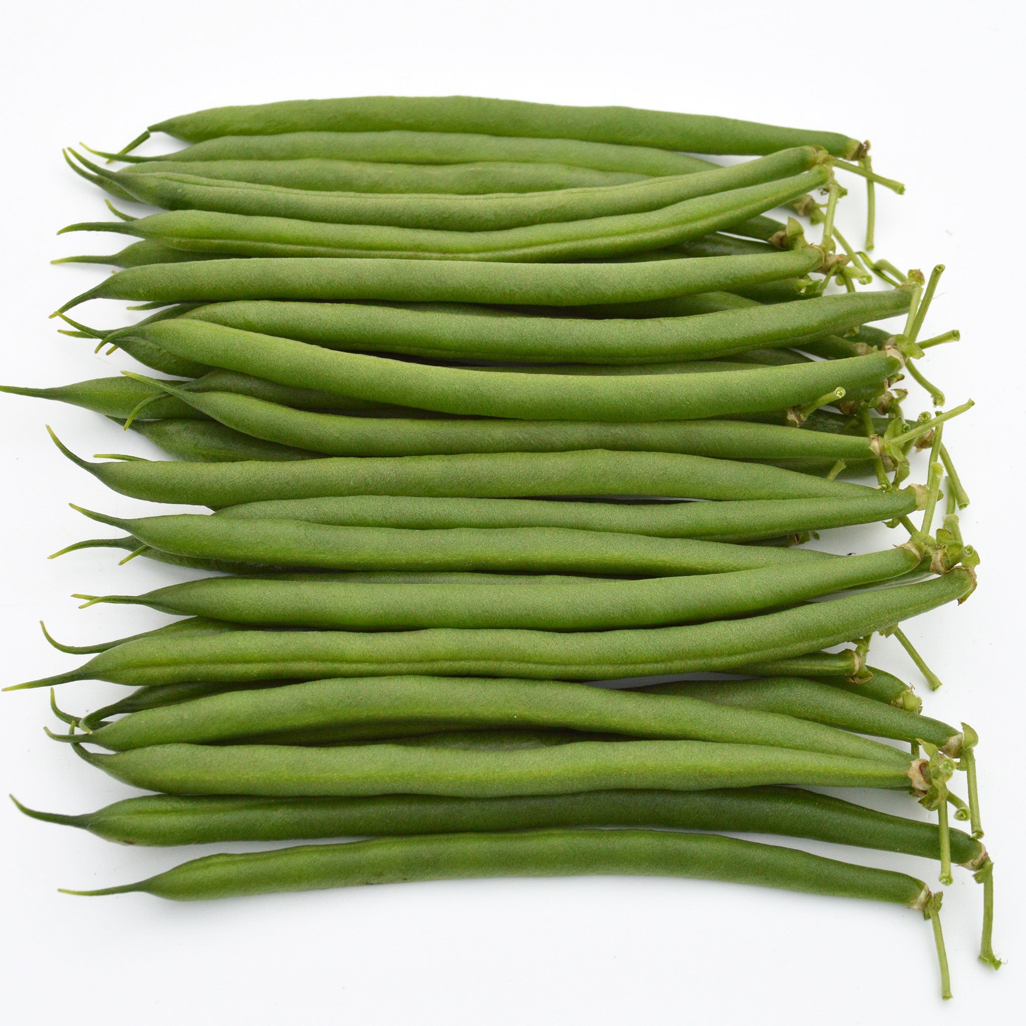Sybaris Green Bush Bean