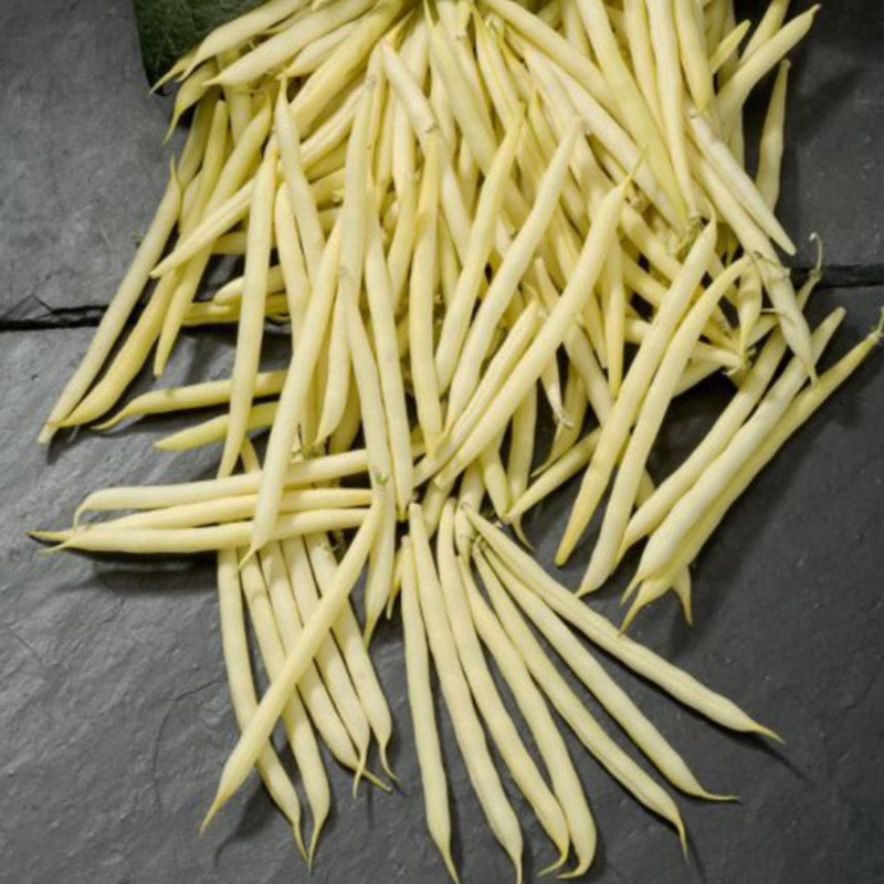 Goldilocks Yellow Wax Bean