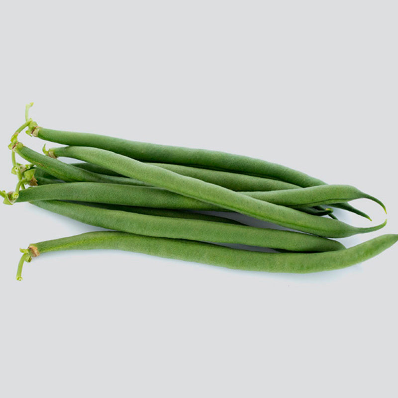 Nyquist Green Bush Bean