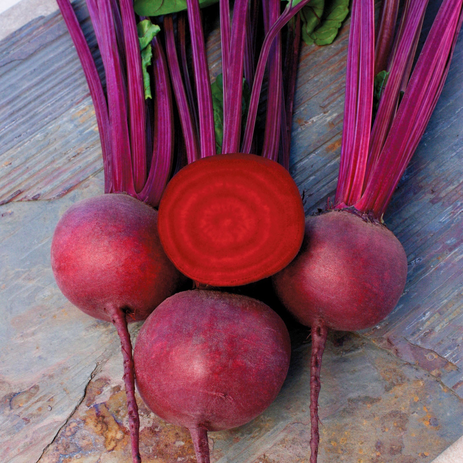 Falcon Beet Hybrid