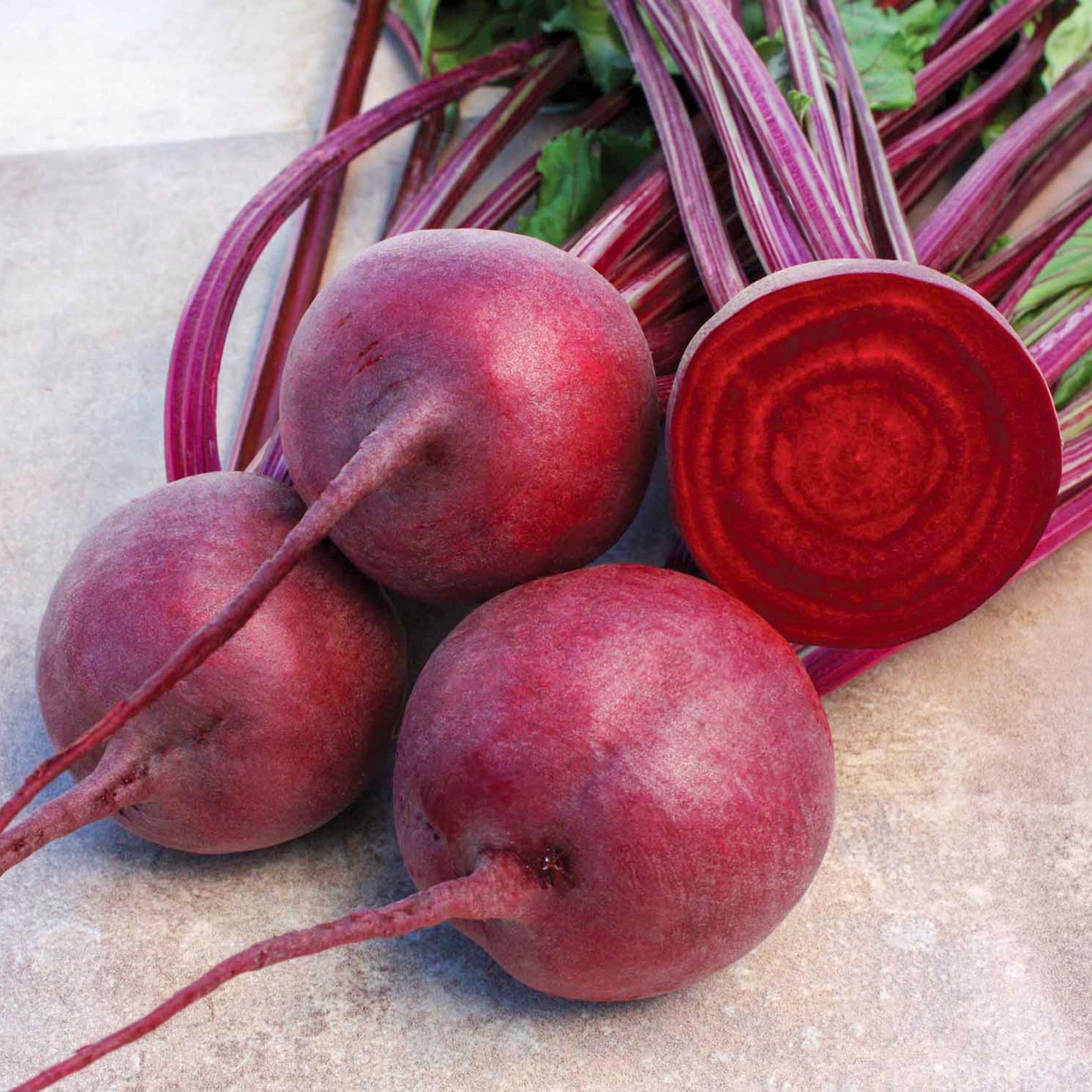Eagle Beet Hybrid