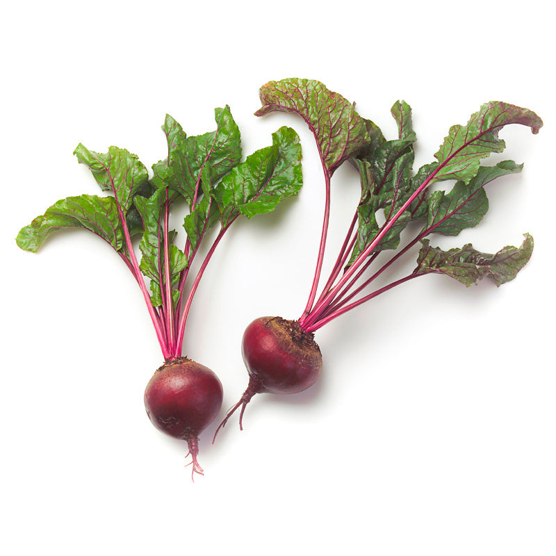 Zeppo Beet Hybrid