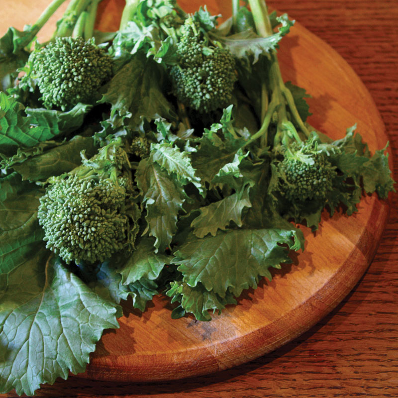 Sorrento Raab Broccoli Seeds – Commercial Grade | Stokes Seeds – Stokes ...