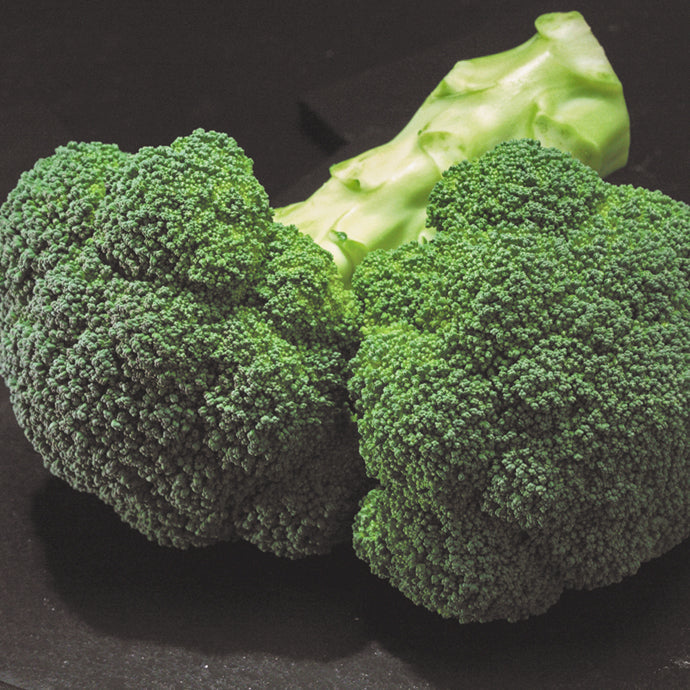 Gypsy Broccoli Hybrid