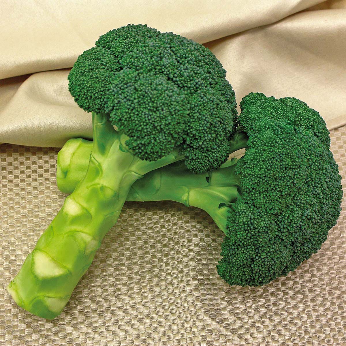 Green Magic Broccoli Hybrid