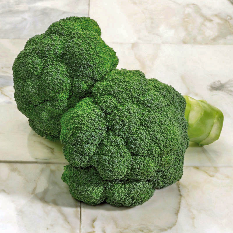 Imperial Broccoli Hybrid