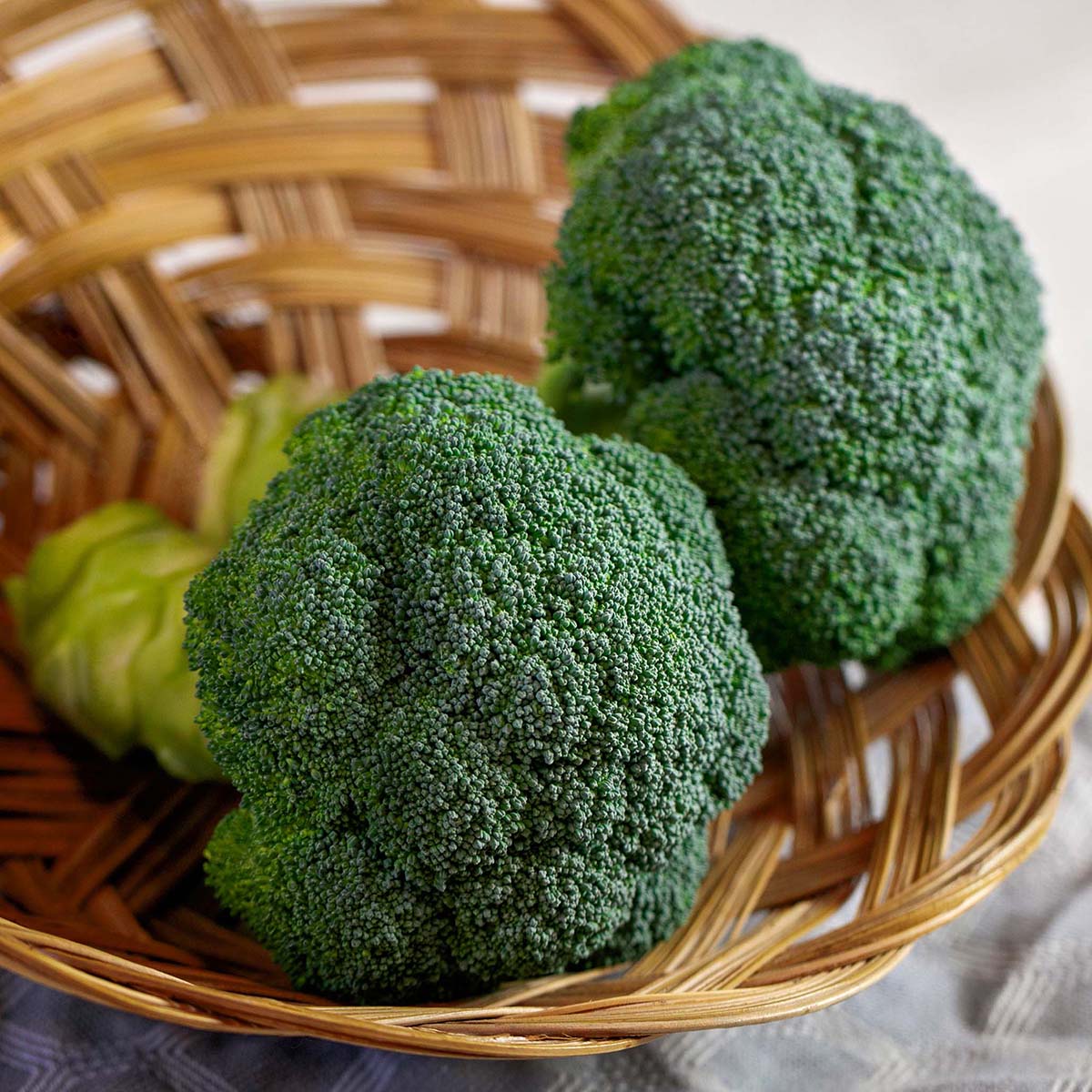 Eastern Crown Broccoli Hybrid