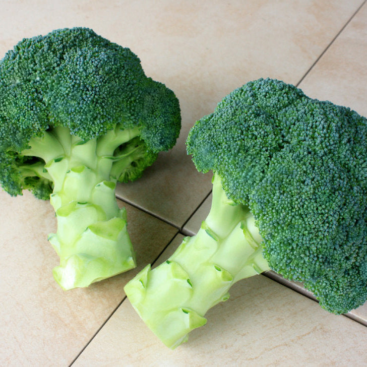 Millennium Untreated Broccoli Hybrid