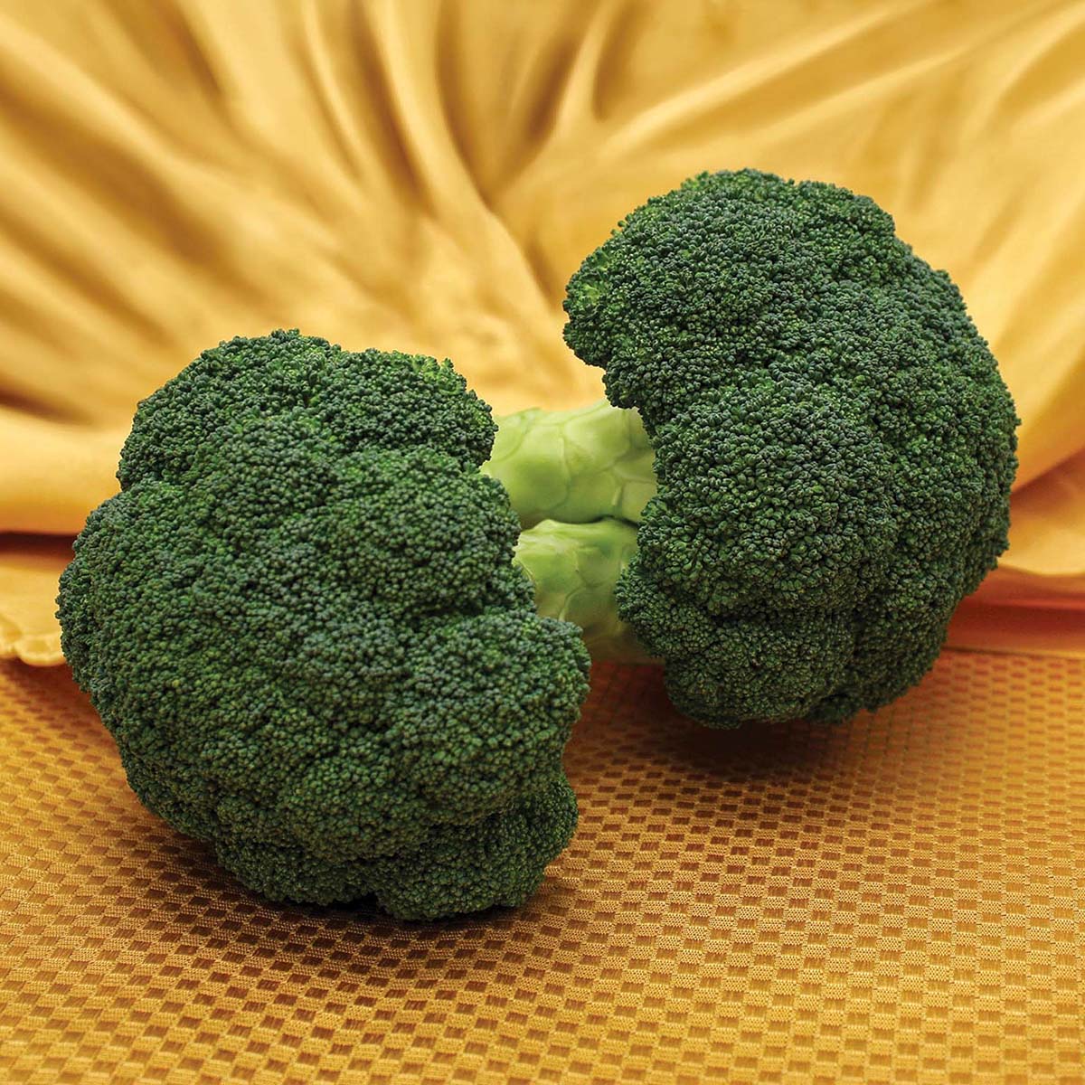 Emerald Jewel Broccoli Hybrid