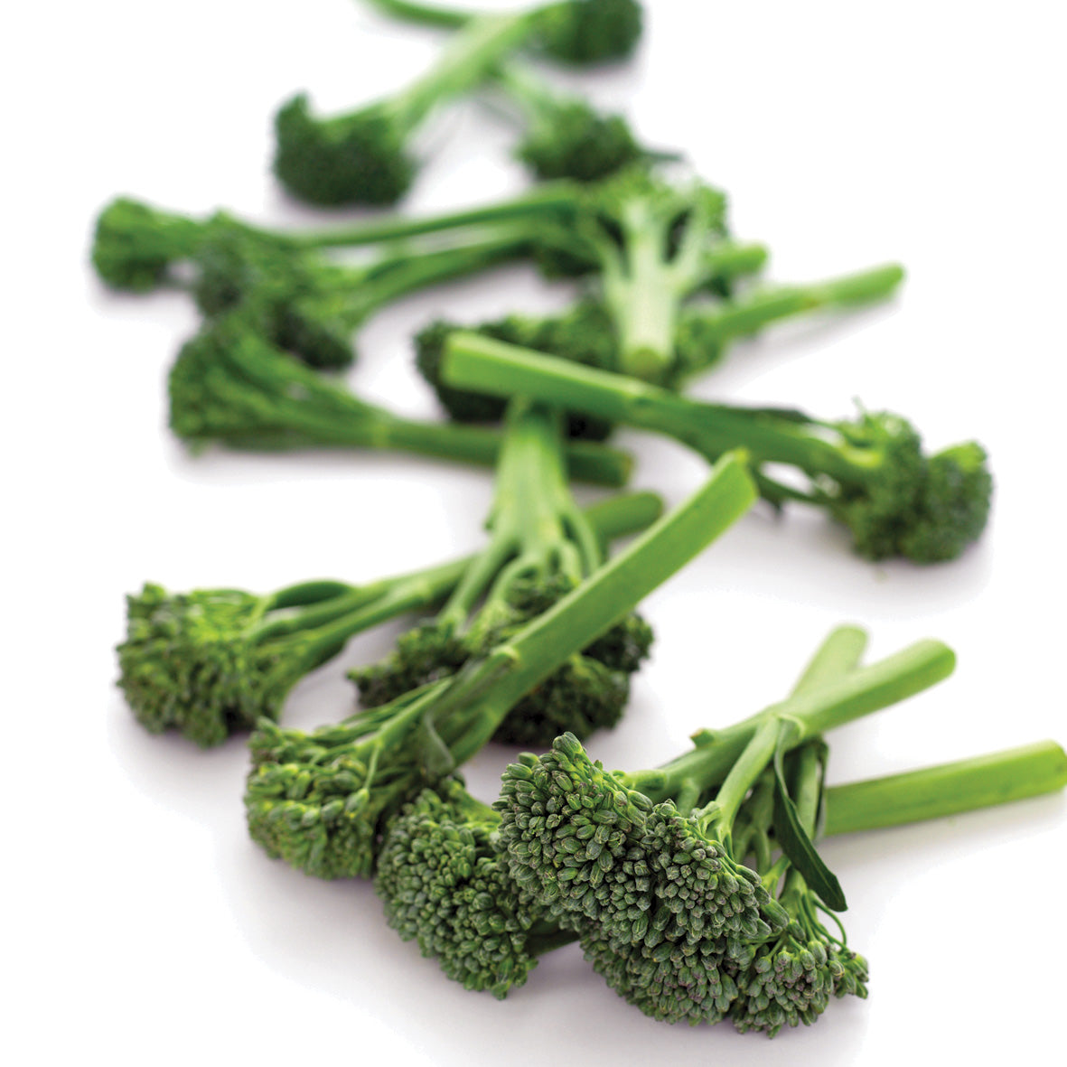 Aspabroc - Mini-Brocoli Hybride (Non Traité)