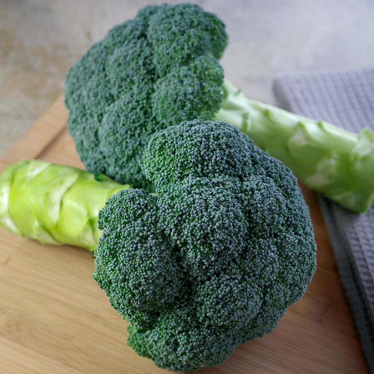 Eastern Magic Broccoli Hybrid